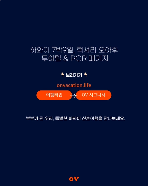 SE-c2a6c766-3a88-49df-8cfd-cbba40f410cc.png?type=w1