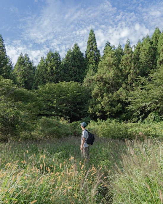 SE-39574095-6da0-4bd0-b94f-2449b1e9a48c.jpg?type=w1