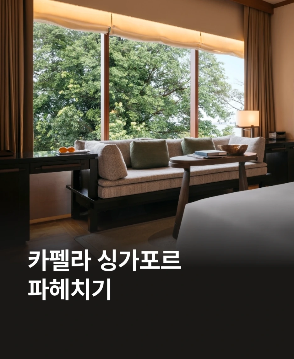 %EC%B9%B4%ED%8E%A0%EB%9D%BC_%EC%8B%B1%EA%B0%80%ED%8F%AC%EB%A5%B4_%EC%8D%B8%EB%84%A4%EC%9D%BC.png?type=w1