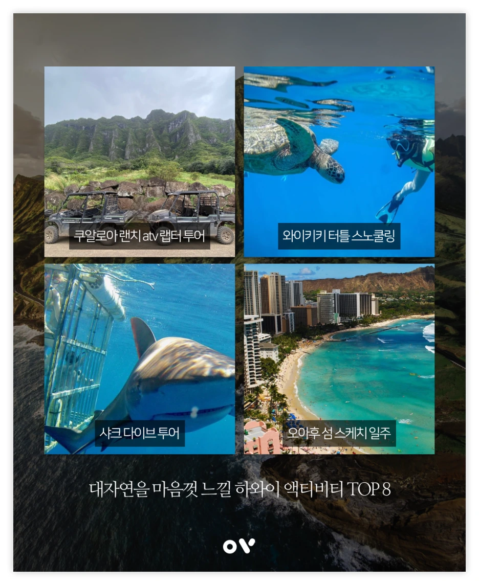 OV%EB%B0%B1%EA%B3%BC_03.png?type=w1