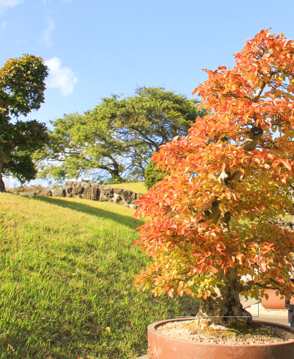 %EC%83%9D%EA%B0%81%ED%95%98%EB%8A%94%EC%A0%95%EC%9B%9002.png?type=w1