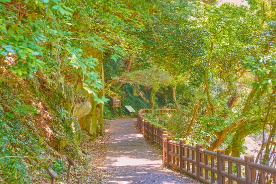 SE-a287696a-8473-454d-a8d1-2955824125a5.jpg?type=w1