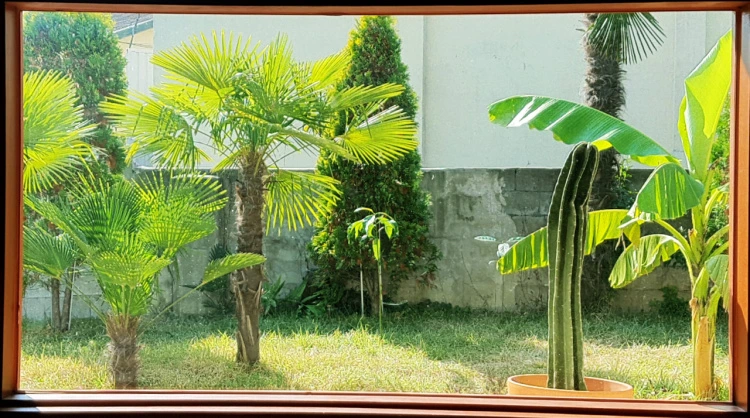 common-21.jpeg?type=w1