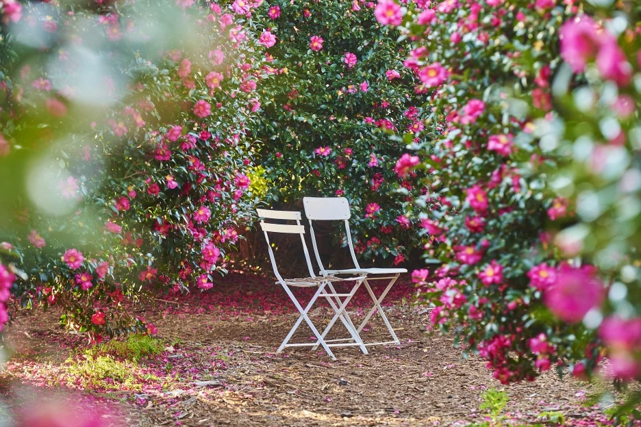 KakaoTalk_Photo_2021-12-18-21-17-37_001.jpeg?type=w1