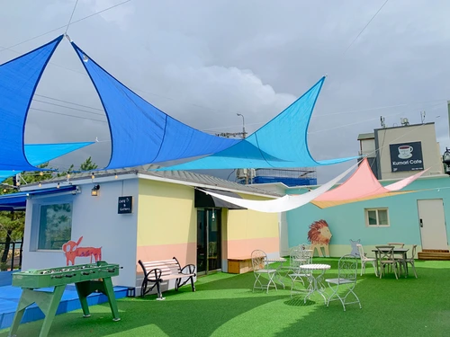 SE-5e08a1d3-d20c-479c-bfaf-fb24736e0fd4.jpg?type=w1