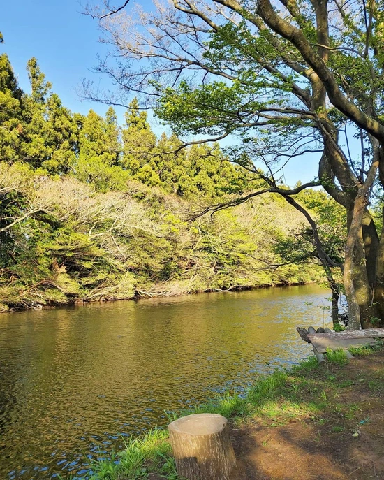 SE-57fce6cb-a6e2-4ac8-a866-106d9b583174.jpg?type=w1