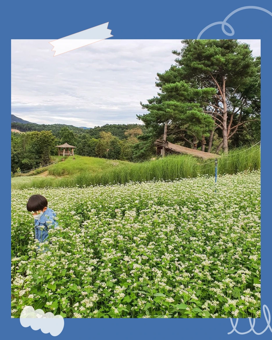 %EA%B3%A0%EC%84%9D%EC%A0%9504.png?type=w1