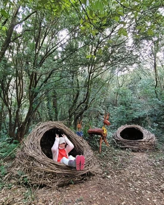 SE-7f7b5bb8-fb95-4d5f-8145-7fe82b34340d.jpg?type=w1