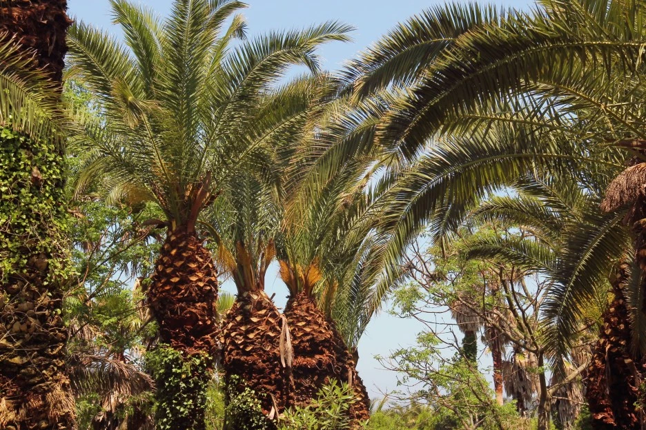 SE-259c3fce-e7a3-43b3-ba7c-104cfc90700f.jpg?type=w1