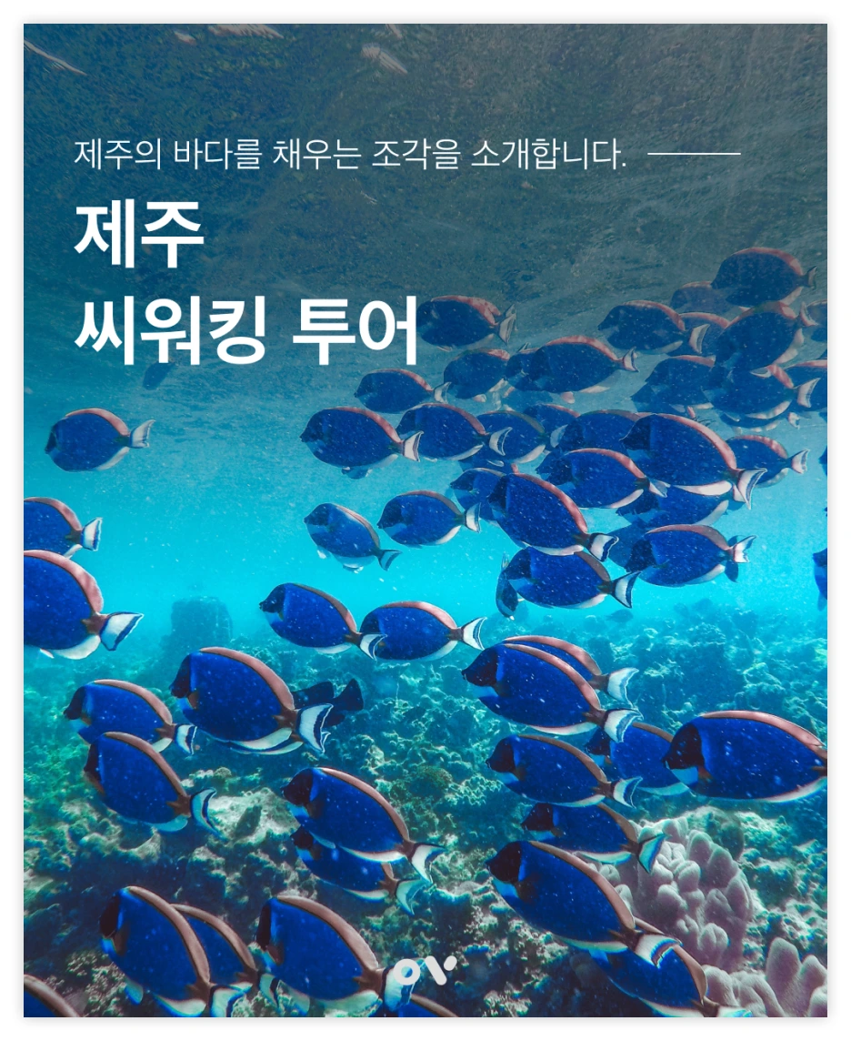 OV_%EC%97%AC%ED%96%89%EC%A1%B0%EA%B0%81_01.png?type=w1