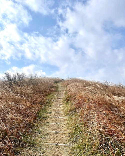 SE-d9e54ab0-aab5-4583-aff1-0e8c84edfceb.jpg?type=w1