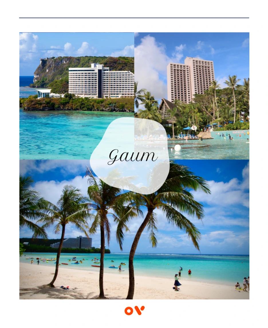 OV_%EC%BD%94%EC%8A%A4_2.png?type=w1