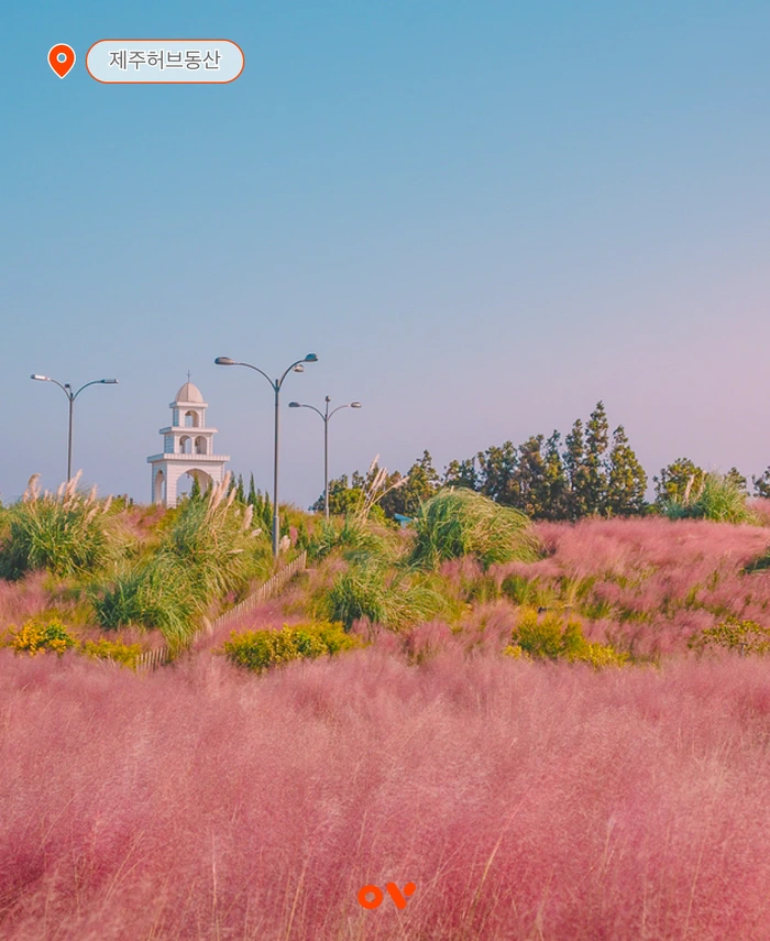 SE-e5eecb08-c1a0-4b3e-a5d9-8d9d66c249d7.png?type=w1