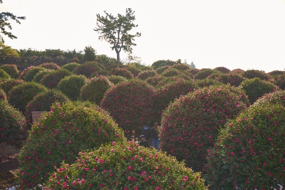 KakaoTalk_Photo_2021-12-18-21-17-39_006.jpeg?type=w1