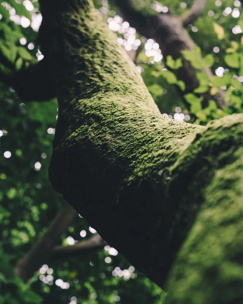 SE-a2807899-b1d8-4494-8eb2-01910ce6f8df.jpg?type=w1