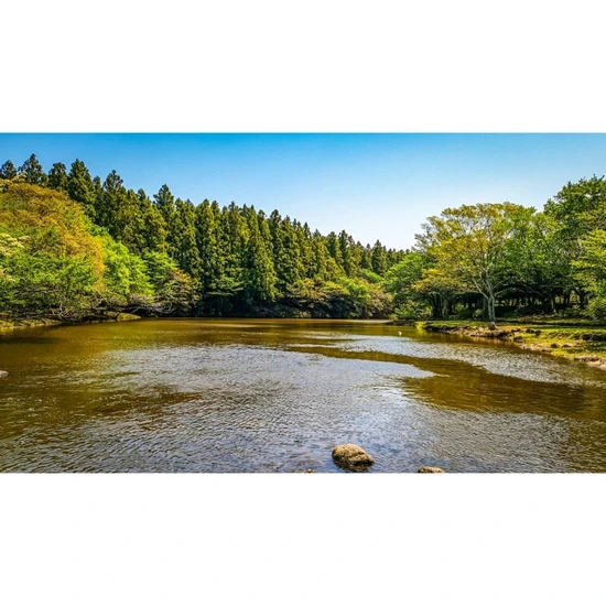 SE-66e34930-4e9f-409a-8215-df2cf993608e.jpg?type=w1