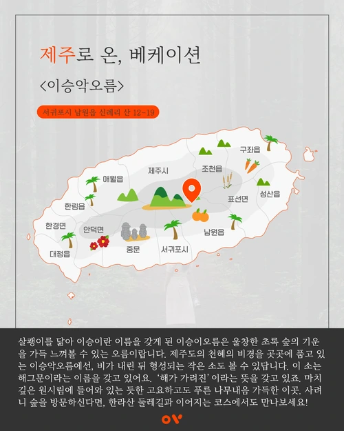 SE-b6b3d792-a66a-4cd7-b114-9535c87f490e.png?type=w1