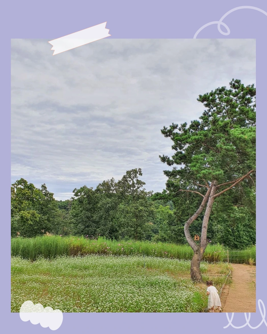 %EA%B3%A0%EC%84%9D%EC%A0%9506.png?type=w1