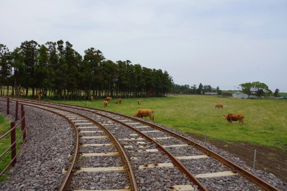 DSC05702_(1).JPG?type=w1