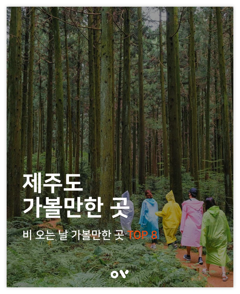 OV%EB%B0%B1%EA%B3%BC_00.png?type=w1