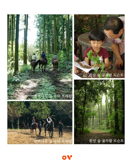 SE-c66c75f9-3db2-494e-b223-a9c18d01869c.png?type=w1