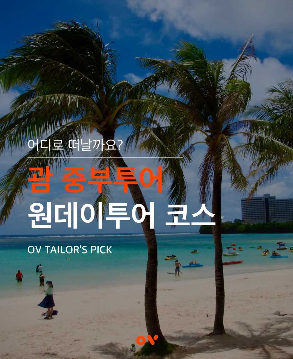 OV_%EC%BD%94%EC%8A%A4_%ED%91%9C%EC%A7%80.png?type=w1