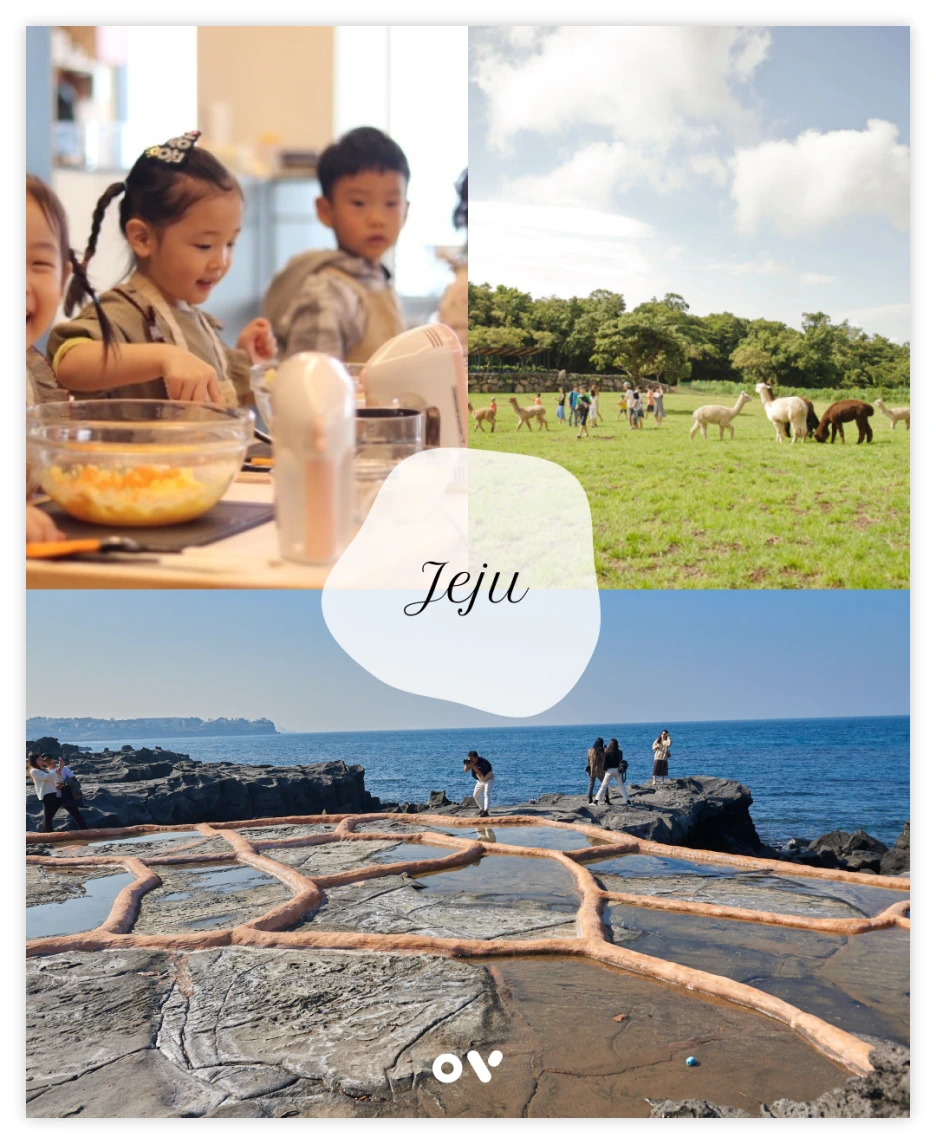 OV_%EC%BD%94%EC%8A%A4_2.png?type=w1