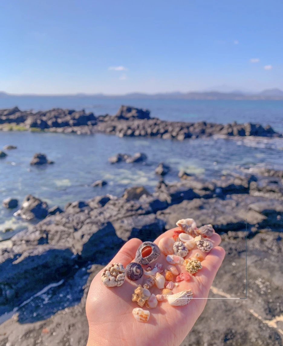 OV%EC%82%AC%EC%A7%84%EC%97%AC%ED%96%89_%EC%9A%B0%EB%8F%84+210727.005.jpeg?type=w1