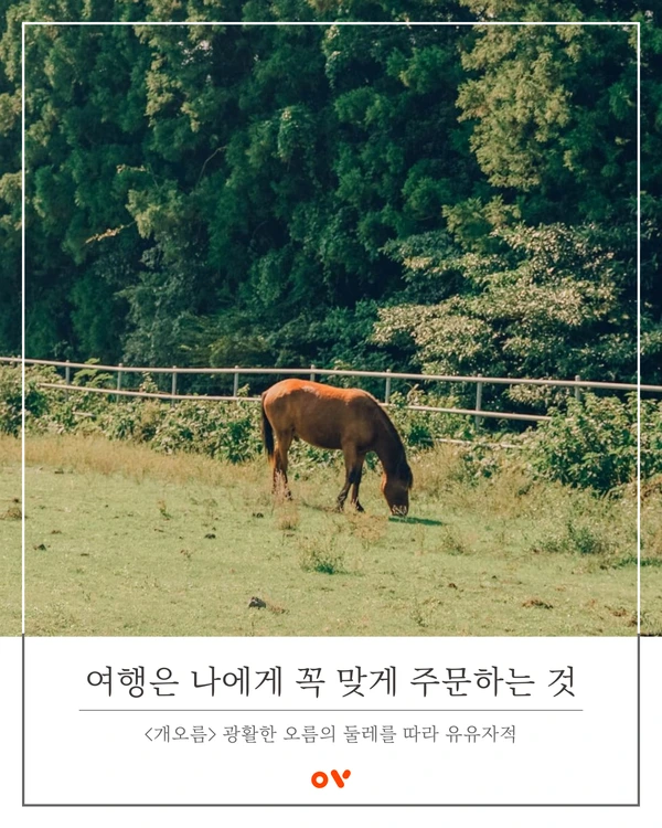 SE-fbc1fcd5-0925-48a1-b4ec-d2b8af6ff9fb.png?type=w1