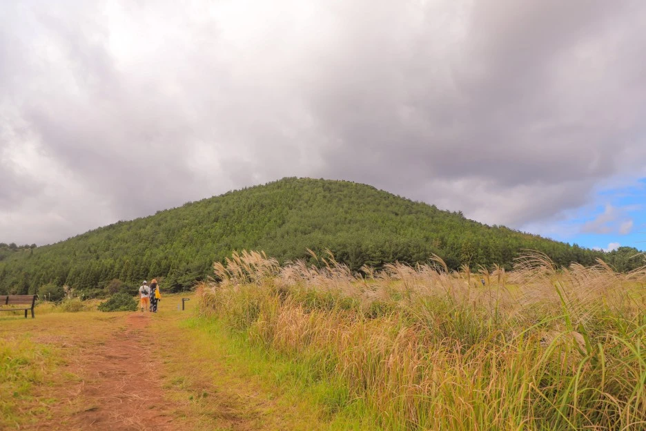 IMG_9339.jpg?type=w1