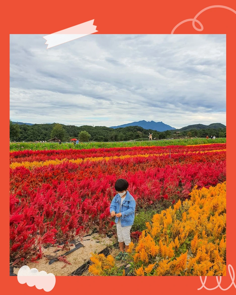 %EA%B3%A0%EC%84%9D%EC%A0%9505.png?type=w1