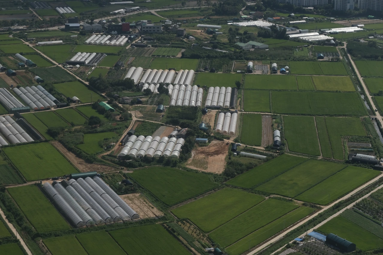 DSCF3306 16.02.11.JPG