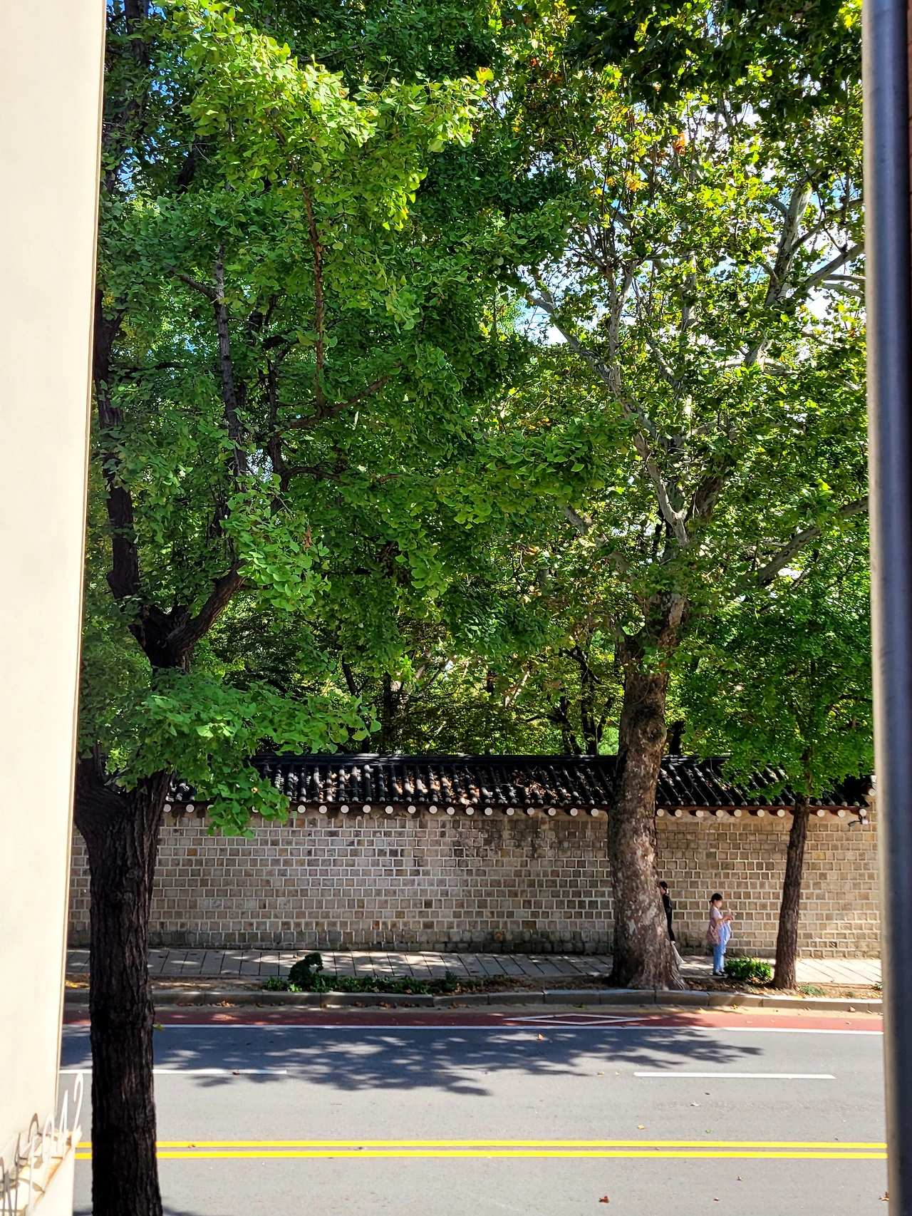 20251017_122829 (1).heic