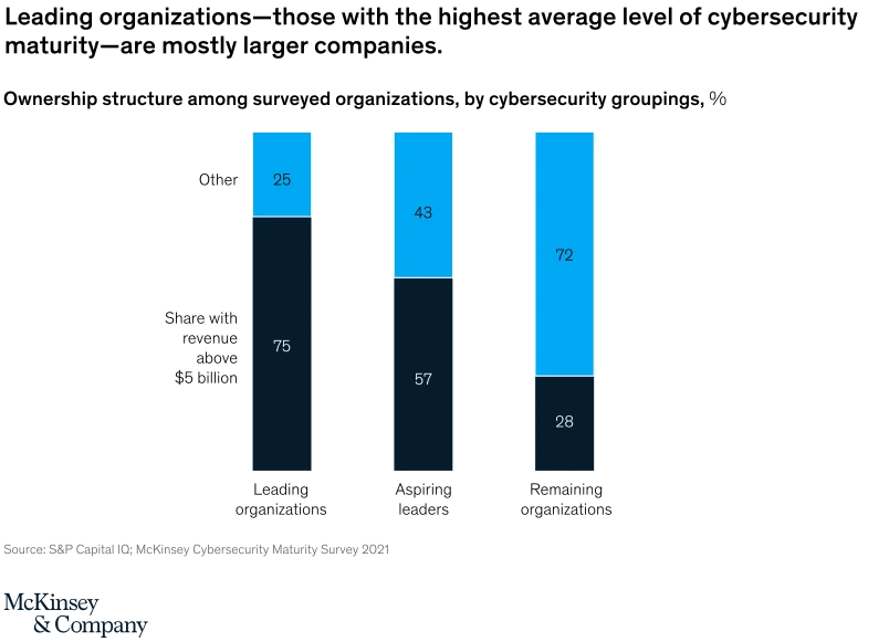 svgz-pub-cybermaturity-v7-ex6.svgz