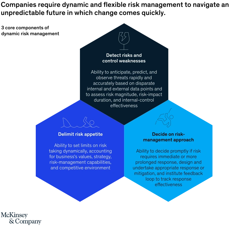 svgz-riskmanagement-ex1.svgz