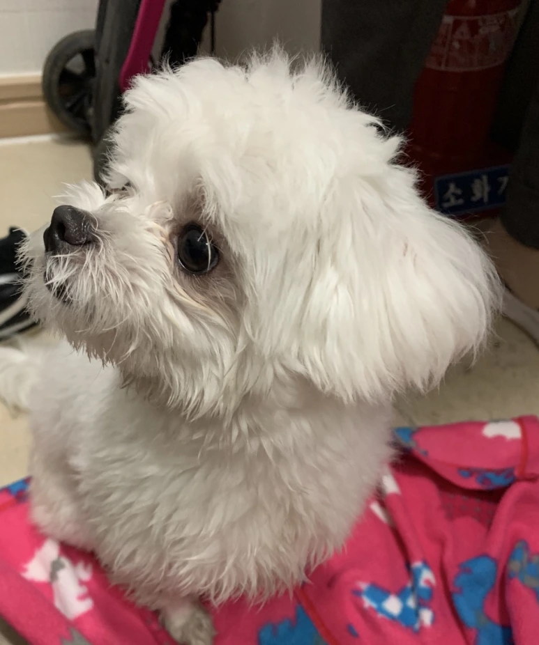 %EC%9C%A0%EA%B8%B0%EA%B2%AC%ED%95%9C%EB%B3%843.png?type=w773