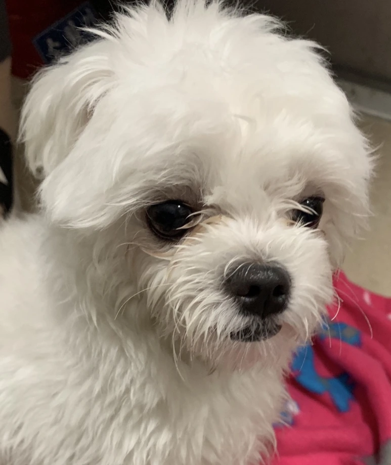 %EC%9C%A0%EA%B8%B0%EA%B2%AC%ED%95%9C%EB%B3%842.png?type=w773