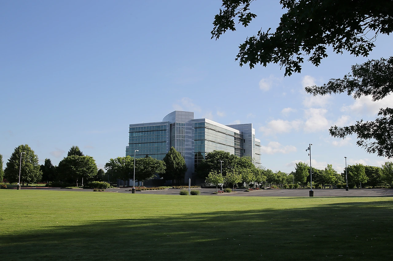 8 시놉시스 잔디.JPG