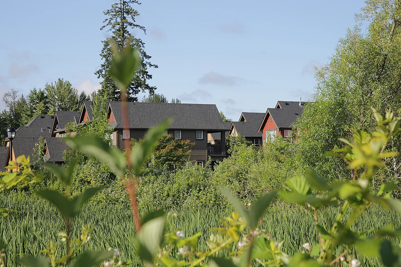 16 인근 마을.JPG