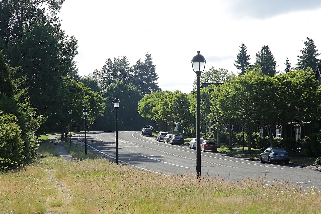 15 마을 도로.JPG