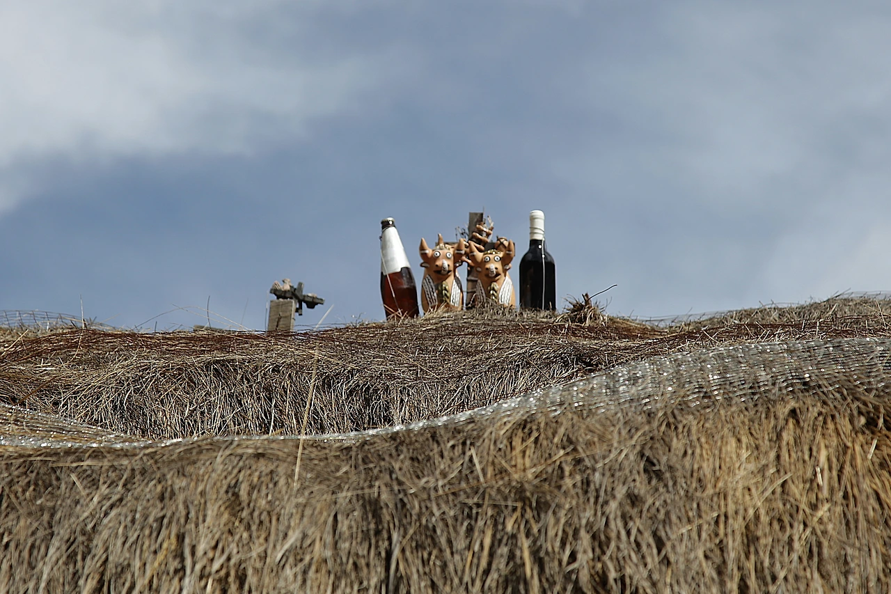 15 지붕 위 성수와 소.JPG