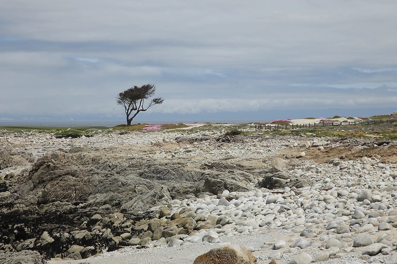 페블 비치 자갈.JPG