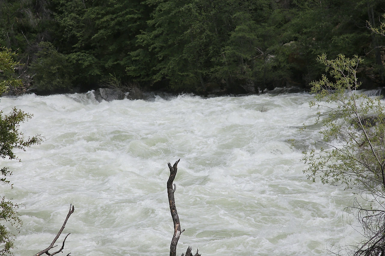 진입로 계곡 물.JPG