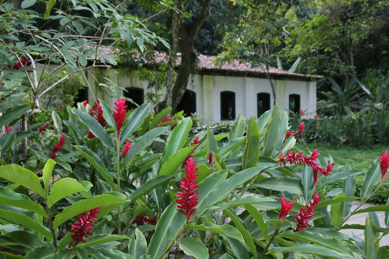 허물어진 교회터.JPG