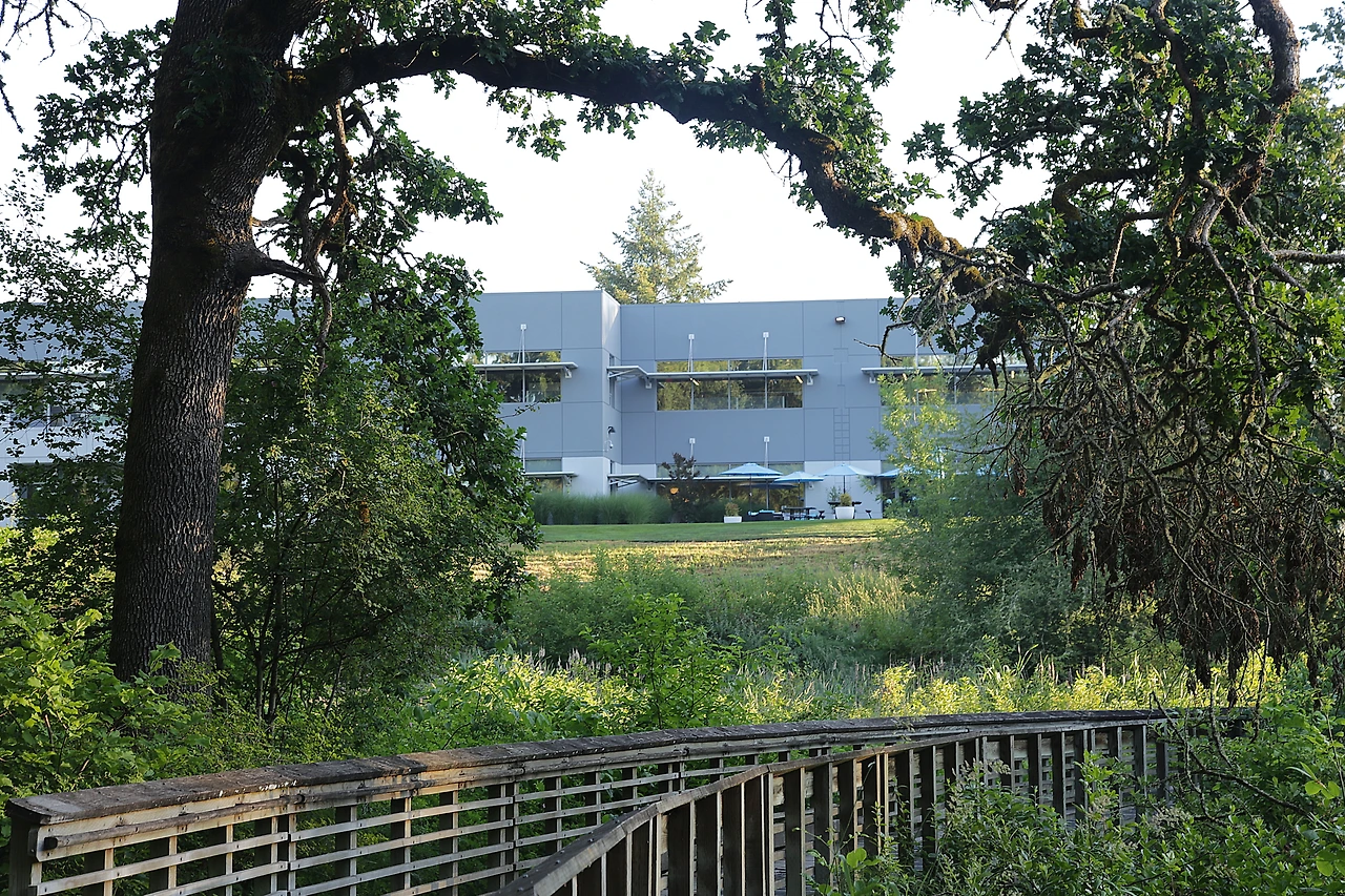 18 숲속 기업.JPG