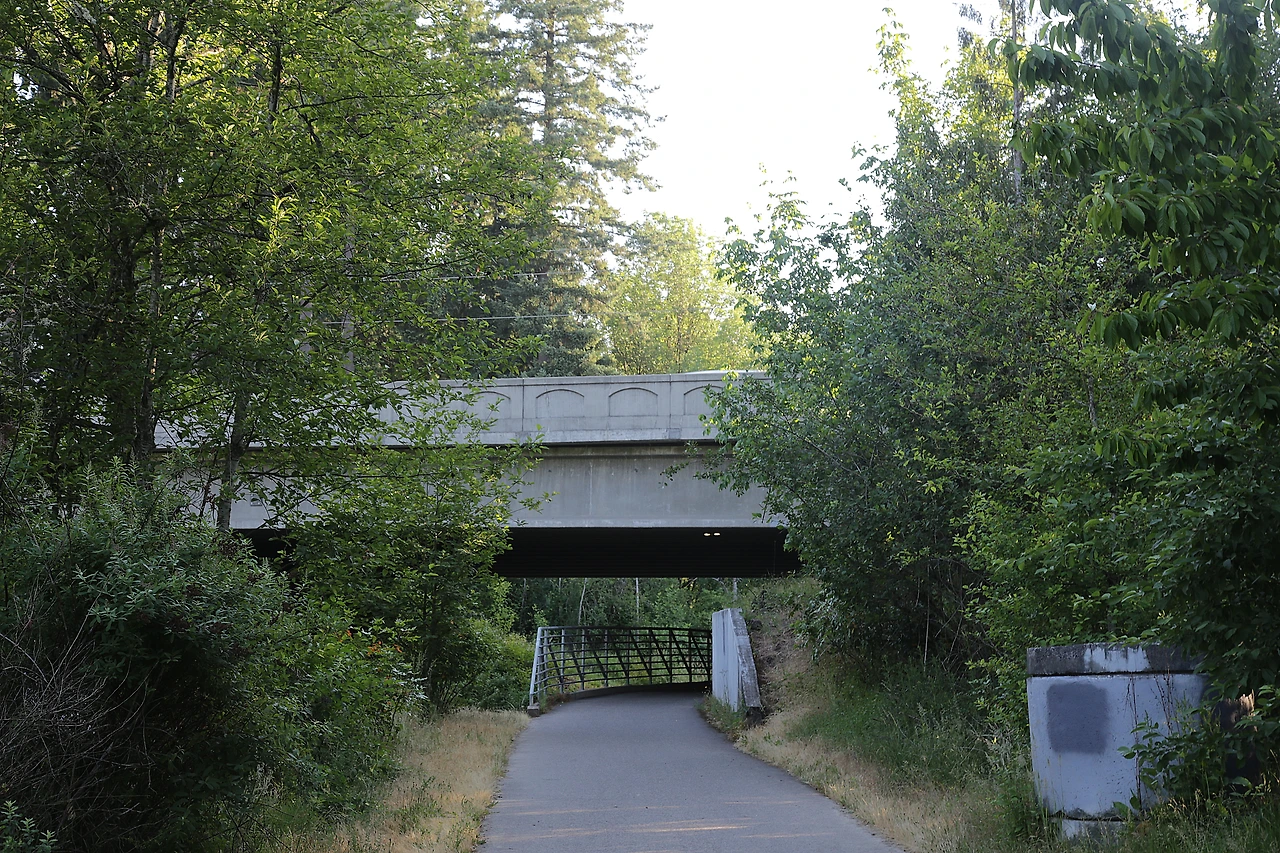 15 차도 및 도로.JPG