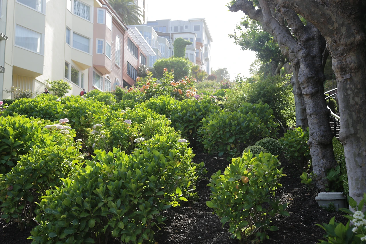 롬바드 스트리트 오르막 1.JPG