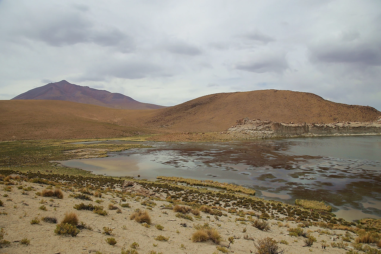 1 라구나 카탈.JPG