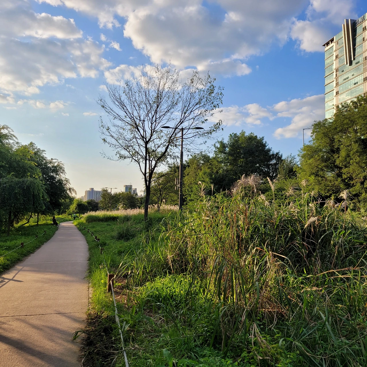 KakaoTalk_Photo_2022-08-18-14-41-27 015.jpeg