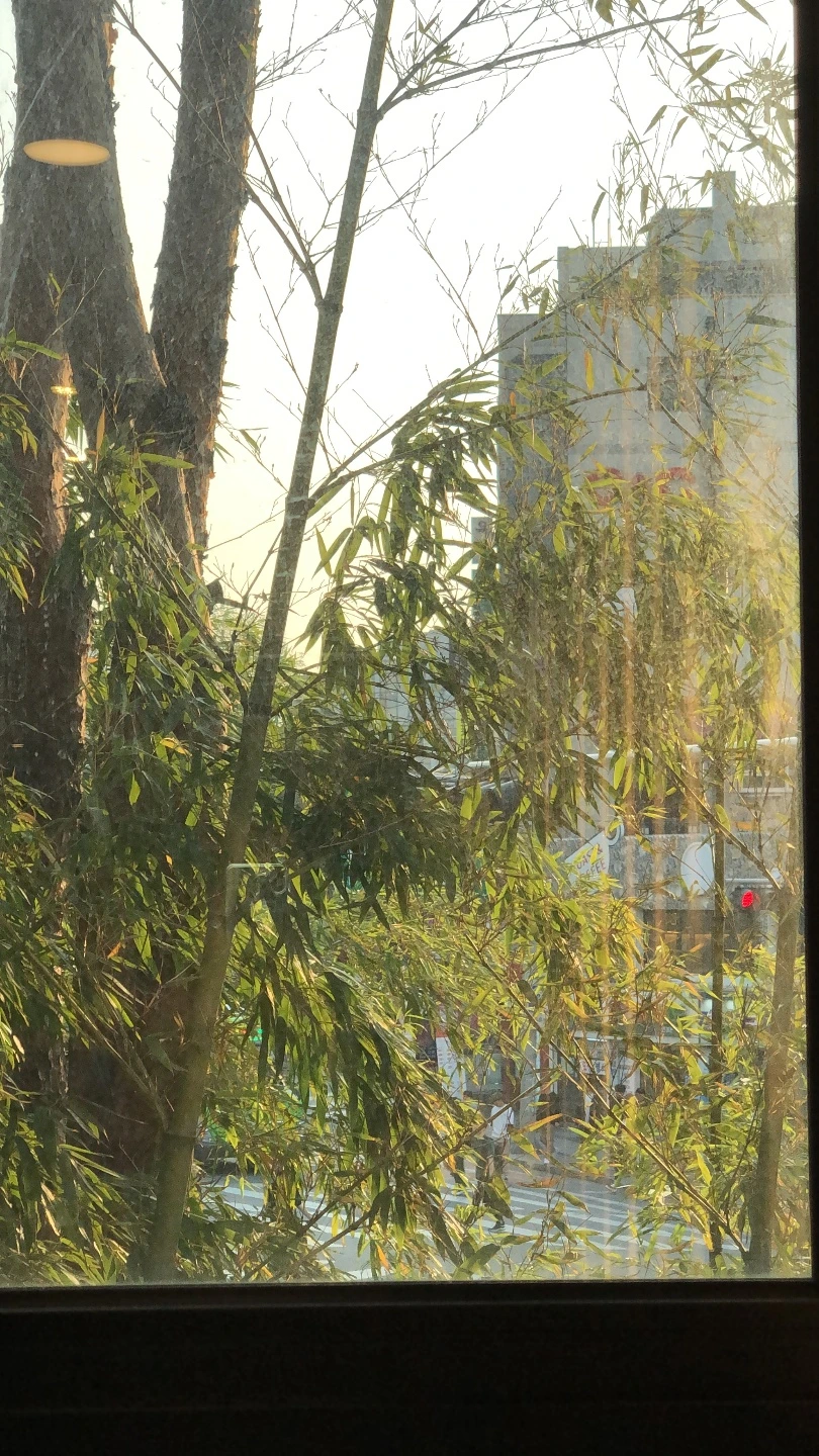 KakaoTalk_Photo_2022-08-18-14-41-11 002.jpeg